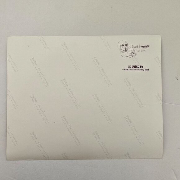 Grateful Dead Licensed Rob Cohn Photograph Of Phil Lesh Playing Bass Guitar - Picture 8 of 14